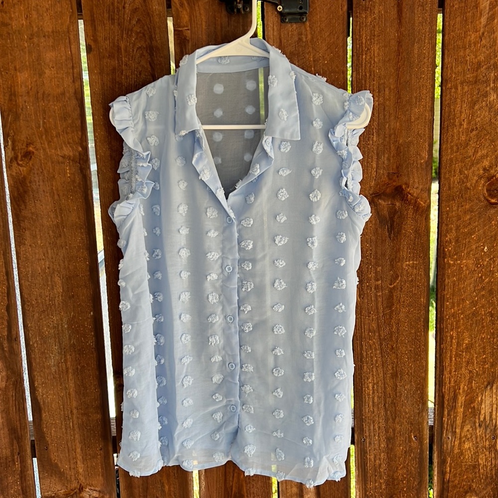 Sheer Blue Ruffly Blouse